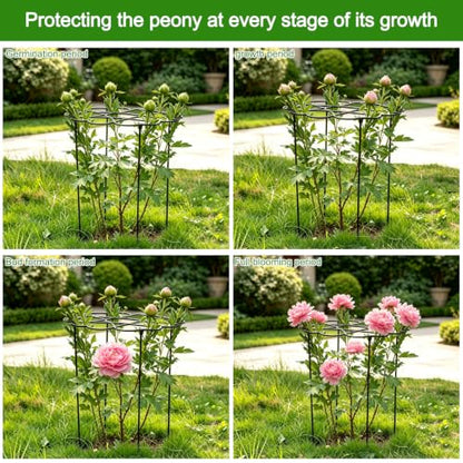 Dahlia Stakes and Supports - 24.5" Heavy-Duty Iron Plant Cages - color: Black