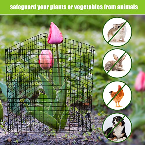 Zubebe 5 Pack Wire Plant Protectors Square Cage