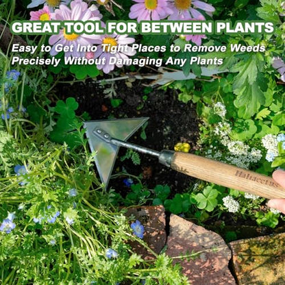 Haliaeetus Triangle Head Hoe, 15'' Scuffle Hoe for Weeding in Raised Bed - size: 15'' Triangle Head Hoe