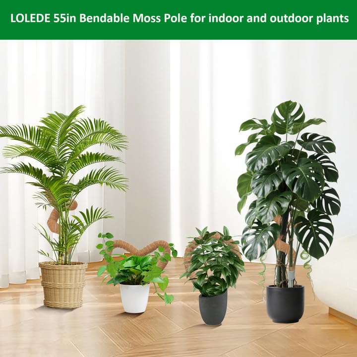 2 Pack Moss Pole, 55 Inches Tall Bendable Coco Coir Poles Monstera Plant Support for Climbing Indoor Plants, DIY Plant Stakes Kit Support for Pothos, Philodendron,Potted Plants - size: 55 Inches(2 Pack)