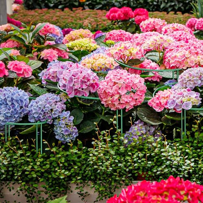 6-Pack 38.7” Plant Support Stakes, Steel Plant Cage & Peony Tomato Hydrangea Cage, Garden Stakes for Outdoor Plants, Heavy-Duty Plant Stakes, 16.7” Support + 22” Extension Tubes - size: 40in
