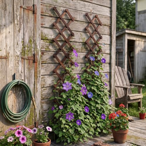 2Pcs Expandable Garden Trellis, 13"x68" Trellis for Climbing Plants Outdoor - size: 13" x 68" 2 Pack