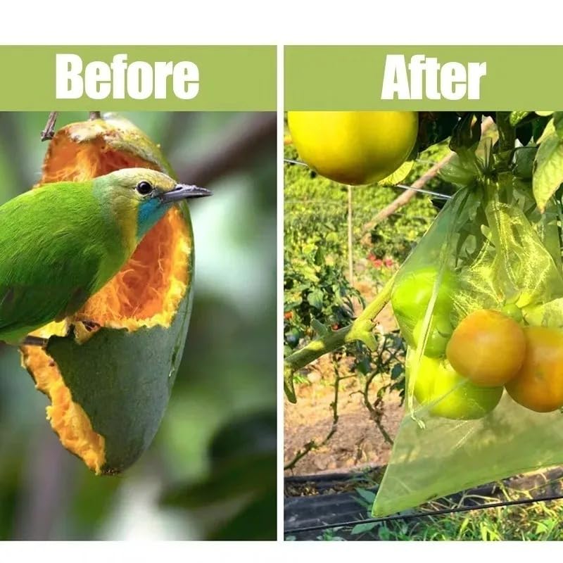 10Pcs/Set Fruit Protection Bags, Green Netting Cover Bags Drawstring Mesh Fruit Protectors Pest Barrier for Grapes Trees Veggies (Large, 20x30cm) - color: Medium