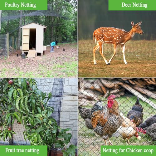 Bird Netting 15x15 Ft, 1/2 in Mesh Heavy Duty Garden Netting - size: 15×15 FT