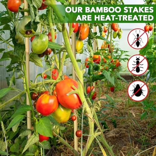 60Pcs Bamboo Stakes for Plant 4.8 ft(57.5 inch), Garden Bamboo Plant Stakes for Plants Support, Climbing Plants, Tomatoes, Sunflowers, Beans, Potted Plants, Trees - size: 4.8 ft-60 Pcs