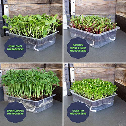 Mountain Valley Seed Co Self-Watering Indoor Microgreen Kit Soil Hydroponic - size: Combo