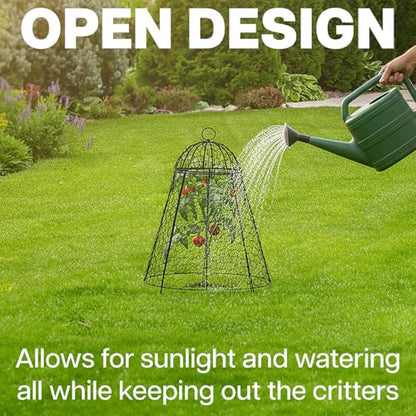 Life Finds Chicken Wire Garden Cloche Set, 6 Pack, LF-GC6P
