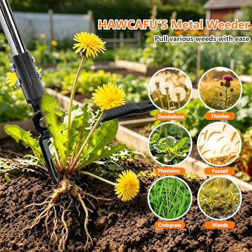Weed Puller Tool Stand Up Hand Weeder Tool with Adjustable Long Handle, Weed Remover with Steel Head, Remove Weeds Root Easily without Bending, Pulling or Kneeling for Lawn Yard Garden (4 CLAWS) - size: 4 CLAWS