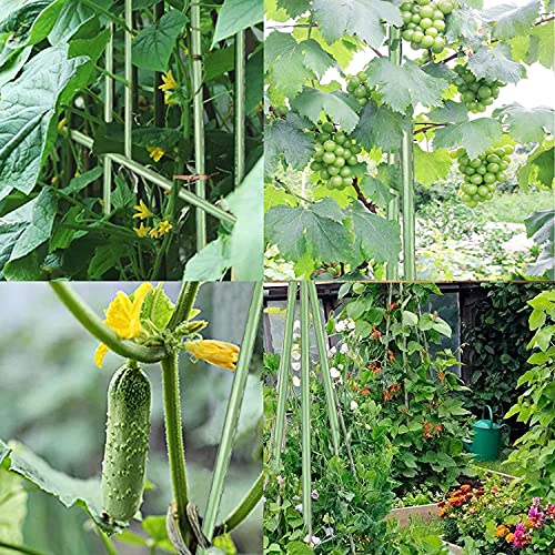 7Feet Garden Stakes Sturdy Plant Sticks Support Tomato Stakes for Vegetable Pack of 20 - size: 7Ft-20 Pcs