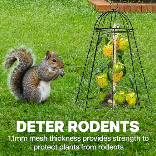 Life Finds Chicken Wire Garden Cloche Set, 6 Pack, LF-GC6P