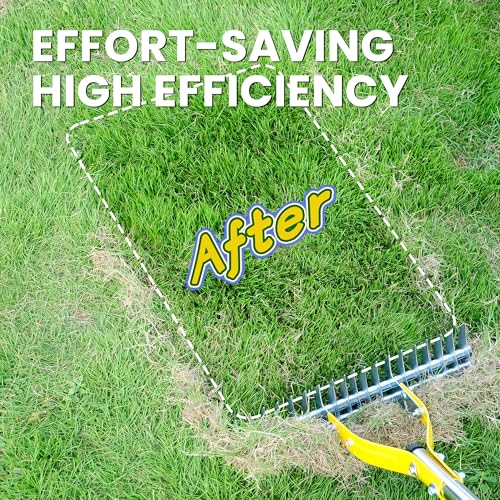 Thatch Rake for Lawn with 74inch Handle, 15 inch Dethatcher Rake for Grass to Cleaning Dead Grass, Efficient Steel Metal Rake for Dethatching, Heavy Duty Thatching Rakes for Garden, Yard