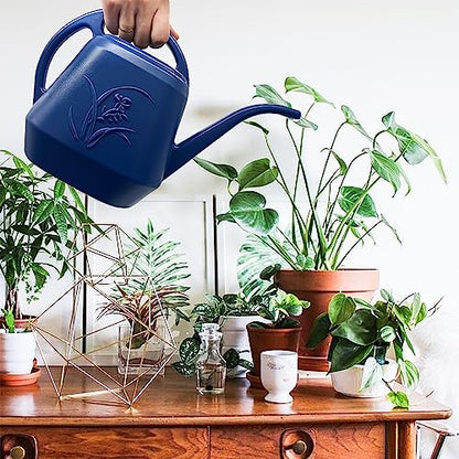 Plant Watering Can - Blue - 1/2 Gallon - color: Blue