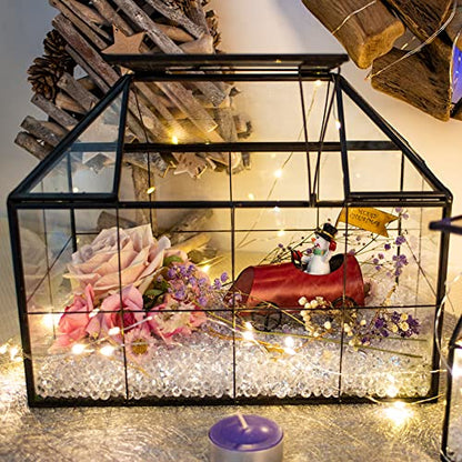 Ferrisland Glass Geometric Plant Terrarium, Clear Glass Succulent - size: 9.1" L x 5.4" W x 7.3" H