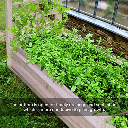 VIVOSUN Wooden Raised Garden Bed, 48 x 24 x 30 Inches, Outdoor Wood Planter Box with Gloves and a Liner, with Trellis for Vine Climbing for Garden, Patio, Balcony, Backyard and Outdoors (Pack of 2) - size: 48 x 24 x 30 In(With Trellis Pack of 2)