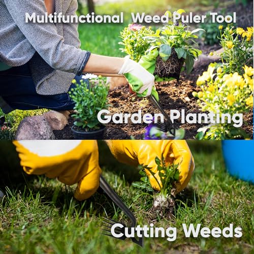 Weed Puller Tool, 2024 Enhanced Weed Remover Tool, Weeding Tool for Gardening with 5 Teeth, Black