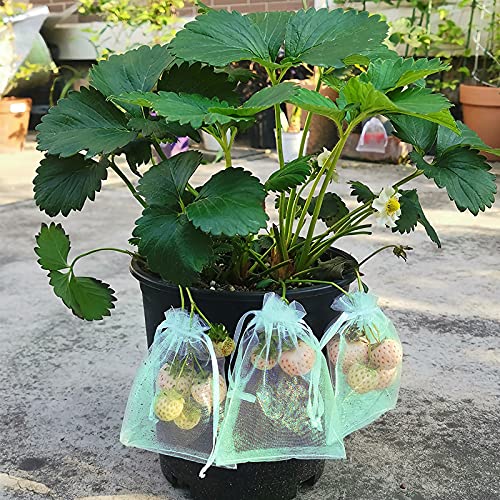 MIXC 100 Pcs Fruit Protection Bags, 12"x16" Fruit Net Cover with Drawstring - size: 12''×16''