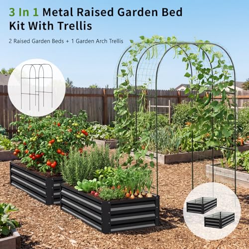 DoCred 4x2x1Ft Raised Garden Bed with 87"H Arch Trellis for Climbing Plants - color: Black