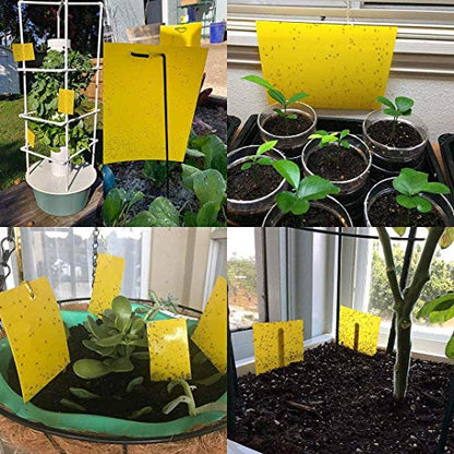 Kensizer 50-Pack Fruit Fly Trap, Yellow Sticky Gnat Traps, 6x8 in - size: 50-Pack