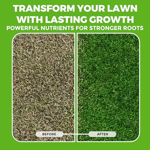 Covington Liquid Lawn Aerator (1 Gallon) – Soil Conditioner & Softener for Lawns & Gardens – Loosens Clay & Compacted Soil for Better Water & Nutrient Absorption – Liquid Aeration Concentrate - size: 1 Gallon