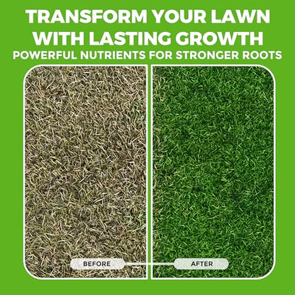 Covington Liquid Lawn Aerator (32oz) – Soil Conditioner & Softener for Lawns & Gardens – Loosens Clay & Compacted Soil for Better Water & Nutrient Absorption – Liquid Aeration Concentrate, Made in USA - size: 1 Quart
