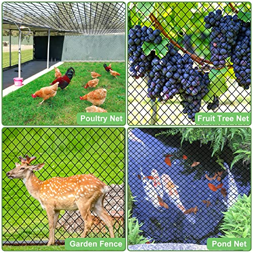 Bird Netting 25'x50' Heavy Duty Nylon Net with 2" Mesh, Chicken Netting - size: 2", 25' x 50'