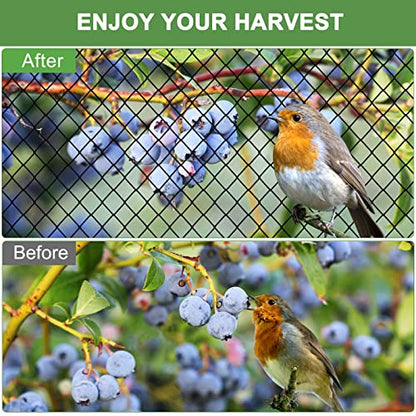 Bird Netting 25'x50' Heavy Duty Nylon Net with 2" Mesh, Chicken Netting - size: 2", 25' x 50'