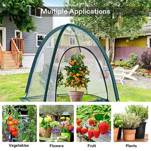 VIVOSUN Garden Netting Cover, 28 x 28 x 32 Inch Pop-up Guard Cover with Zip Entry for Plants, Vegetables, Fruits, Outdoor Run and Enclosure for Small Animals, 2-Pack, Green - size: 28x28x32 inch