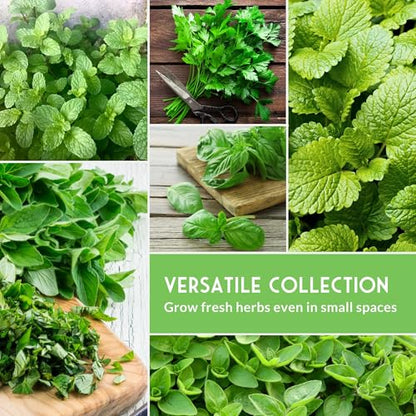 Indoor Herb Seeds Variety Pack - 10 Herbs for Planting