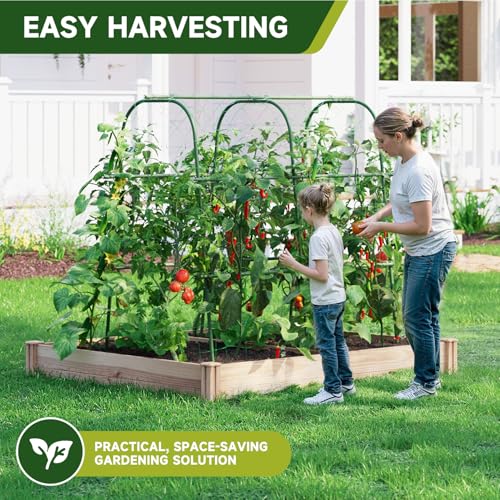 HIRALIY Cucumber Trellis for Climbing Plants, 4ft Tall, Green - size: 48"L x 31"W x 48"H-Tunnel Trellis