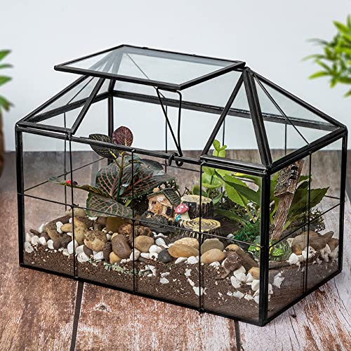 Ferrisland Glass Geometric Plant Terrarium, Clear Glass Succulent - size: 9.1" L x 5.4" W x 7.3" H