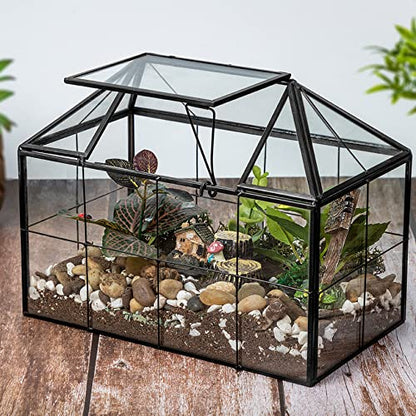Ferrisland Glass Geometric Plant Terrarium, Clear Glass Succulent - size: 9.1" L x 5.4" W x 7.3" H