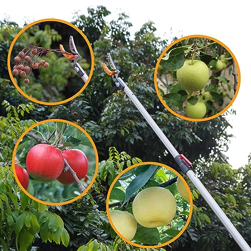 Soft Home 4.6-10 Ft Long Reach Tree Pruner Extendable, Fruit Picker, Telescoping Tree Pruner, Fruit Tree Branch Trimmers Long Handled Pruner, Cut and Hold Pruner