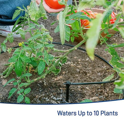 Orbit 91945 Tomato Garden Drip Irrigation Watering Kit w/Automatic Watering Timer - style: Traditional Timer