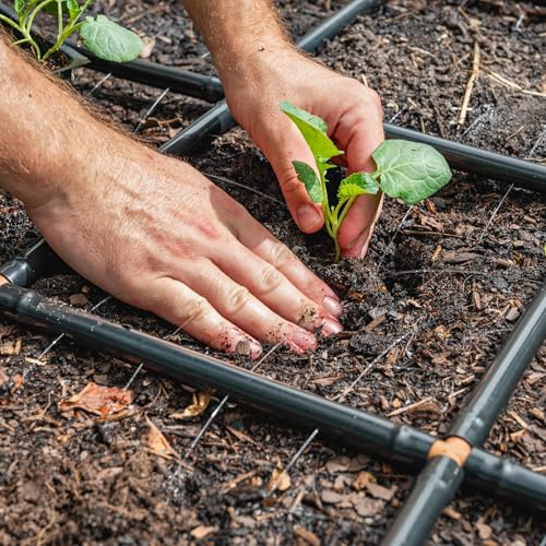 Garden Grid 2x8 | Garden Watering System for Raised Garden Bed | Cornerless - size: 2x8, style: Cornerless