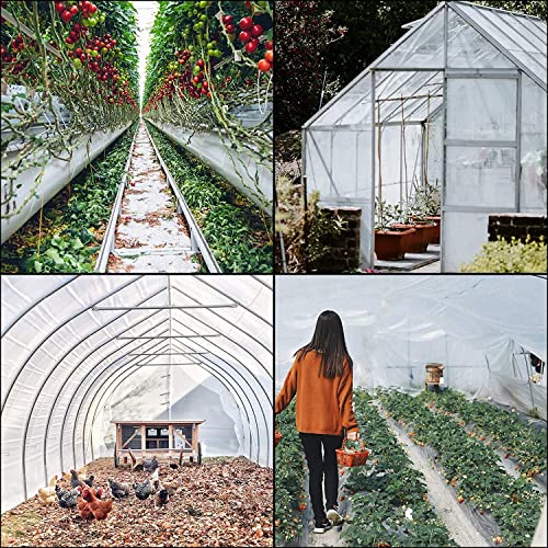 VEVOR Greenhouse Plastic Sheeting 24 x 50 ft, 6 Mil Thickness UV Resistant Clear Polyethylene Film, Hoop Green House Cover for Farms, Agriculture, Garden - size: 24 x 50 ft