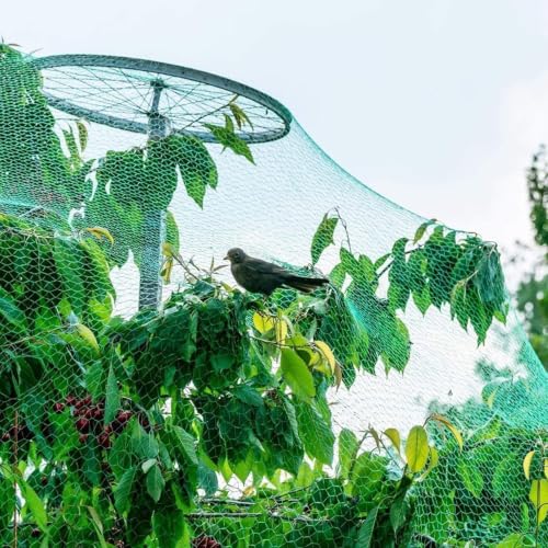 Bird Netting for Garden Protect Vegetable Plants and Fruit Trees13X33Ft - Garden Netting Mesh for Garden Protection Bird Fence Plant Netting Chicken Coop Deer Squirrels Poultry Protect Fruit Trees