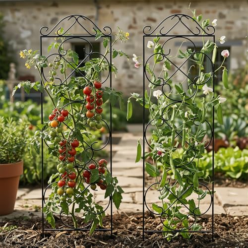 Thealyn 4 Pack 48" x 12.5" Metal Trellis for Potted Plants and Planters - size: 48 inch