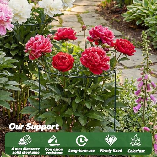 4 Pack Round Peony Cages and Supports, 20 x 30 Inches (D x H) - size: 20 x 30 Inches