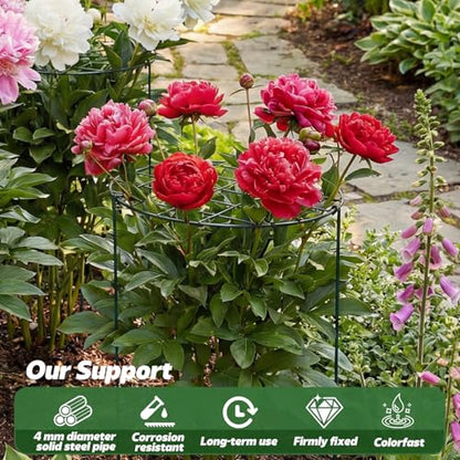 4 Pack Round Peony Cages and Supports, 20 x 30 Inches (D x H) - size: 20 x 30 Inches