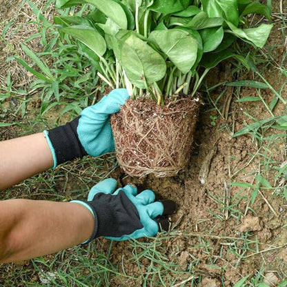 Weeding Artifact Uprooting Weeding Tool Claw Gloves Kit, 11-Tooth - color: 11-Tooth