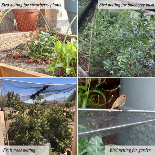 Junflying Bird Netting for Garden, 7.5X100 FT, 1/2“ Mesh - size: 7.5x100 FT-1/2"