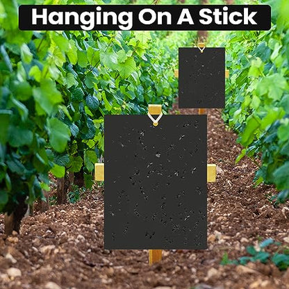 Qualirey 100 Pcs 6x8 Inch Black Sticky Traps for Gnats - color: Black
