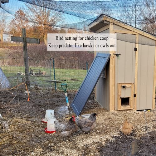 Bird Netting for Chicken Coop 50x100 Ft, 1" Mesh Aviary Netting - size: 50x100Ft-1"