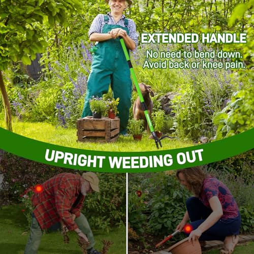 Weed Puller,Stand-Up Weeding Picker Tool,Detachable Hand Weed Root Remover Tool,with 4-Claw Steel Head & 3-Sectioal Pole Long Handle for Lawn/Yard and Garden Gripper Without Bending or Kneeling