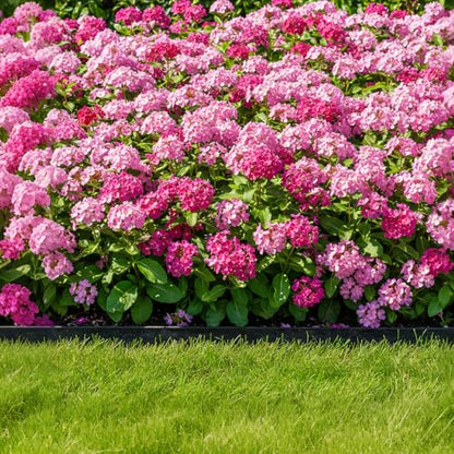 Garden Edging, 110FT x 2" Flexible Plastic Landscape Border with 106 Stakes - style: 110FT