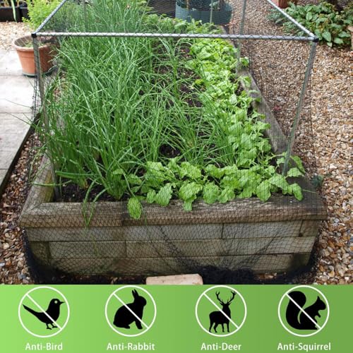 Bird Netting 15x40 Ft, 1/2 in Mesh Heavy Duty Garden Netting - size: 15x40FT