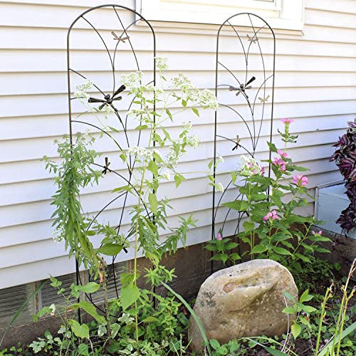 Sunnydaze 56" Black Metal Garden Trellis for Climbing Plants, 2-Pack - style: Dragonfly Delight - 56"