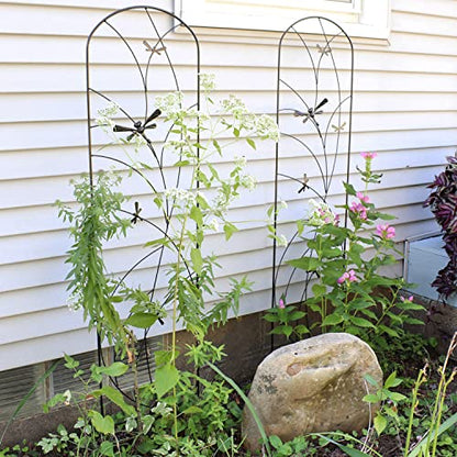 Sunnydaze 56" Black Metal Garden Trellis for Climbing Plants, 2-Pack - style: Dragonfly Delight - 56"