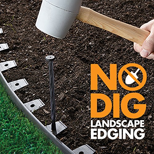 EasyFlex No-Dig Landscape Edging with Anchoring Spikes, 1.5 in. Tall Straight Top Plastic Garden Border, 40 Foot Kit, Black - style: 40 ft traditional