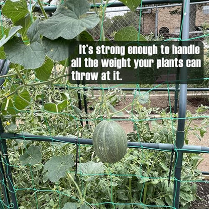 Trellis Netting, Heavy-Duty Garden Grow Netting for Climbing Plants, Outdoor Indoor Net for Cucumber, Tomatoes, Beans, Clematis, Fruits & Vegetables, Climbing Vining Plants (8.2' x 6.6'Ft) - size: 8.2' x 6.6'Ft